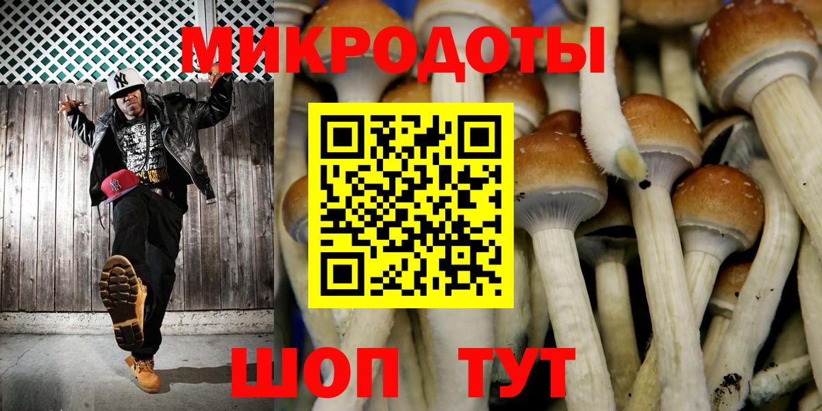 Галлюциногенные грибы мухоморы Светлоград